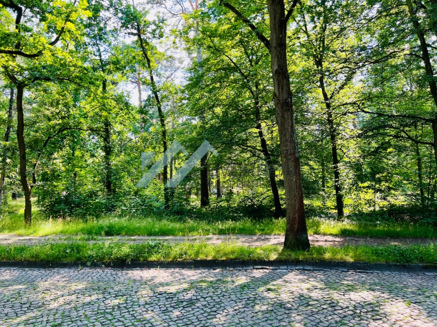 Dahlem – Messelpark bezugsfreie Wohnung, 14195 Berlin, Maisonettewohnung