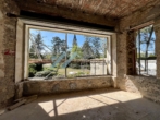 Unverbaubaren Blick aus der Wohnung - Hochherrschaftliches Belle-Étage-Domizil im feinen Grunewald – mit Einliegerwohnung