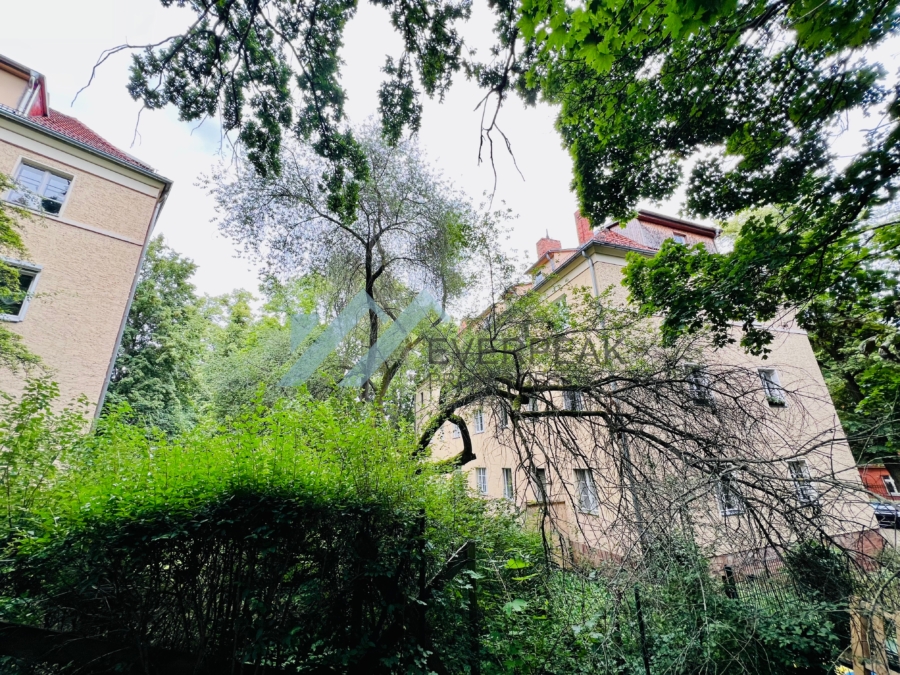 Kleine feine Wohnung in Lankwitz, 12247 Berlin, Wohnung