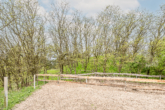 Blick auf die Waldfläche - Baugrundstück mit Blick in das Nieder-Oderbruch von 628m² Fläche und optional mit Waldfläche!